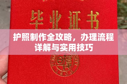 虎丘护照制作全攻略，办理流程详解与实用技巧