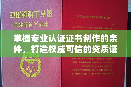 虎丘掌握专业认证证书制作的条件，打造权威可信的资质证明